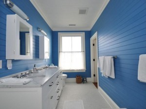 blue-white-bath-dd3394